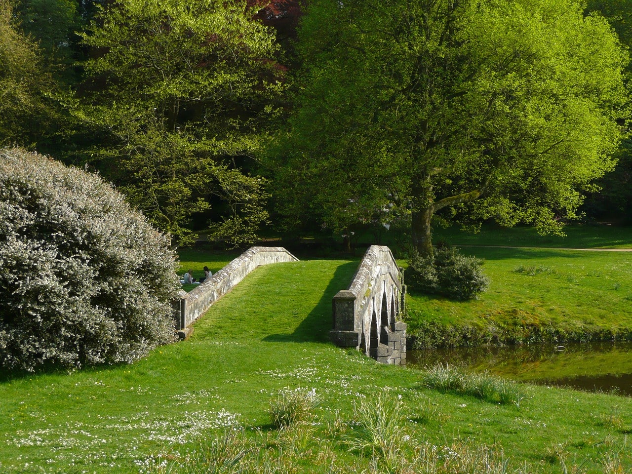 Why Crown Tree Service is Essential for Your Property’s Health